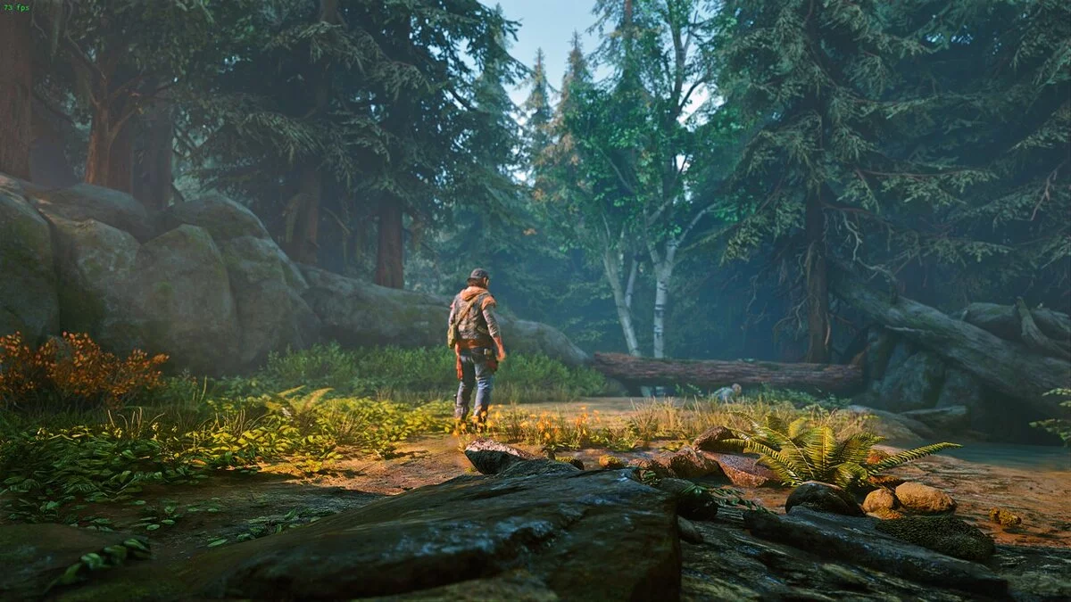 Days Gone — Поліпшення візуальних ефектів