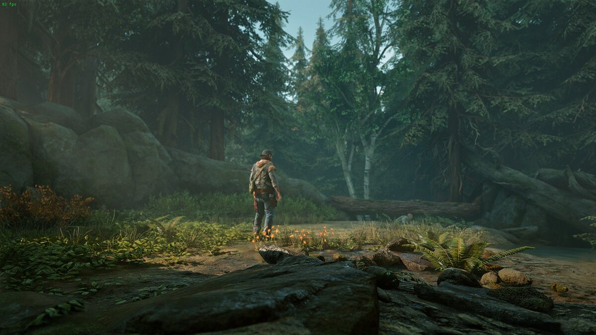 Days Gone — Improved visuals