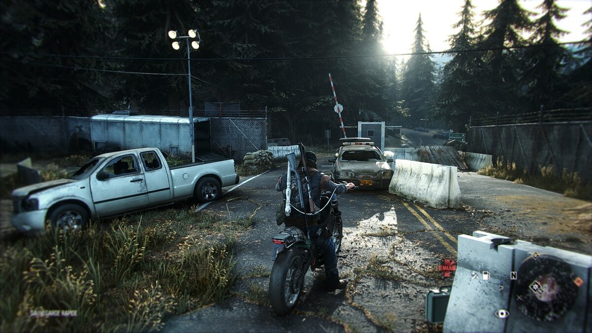 Days Gone — Dawn of the Dead - Reshade