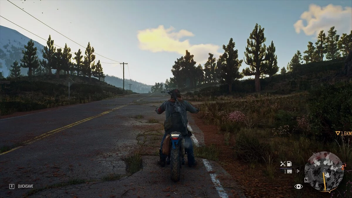 Days Gone — Посилення кольору