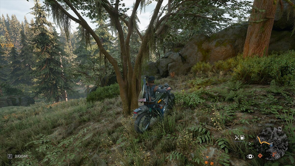 Days Gone — Enable ray tracing