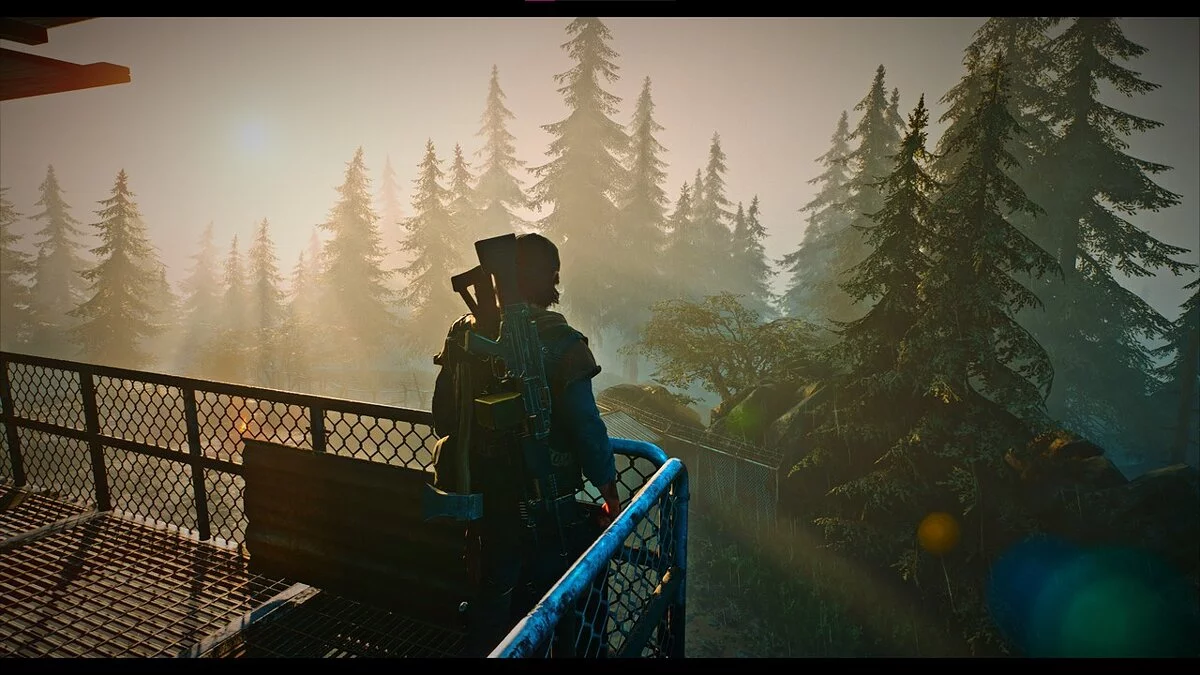 Days Gone — Поліпшення насиченості кольору