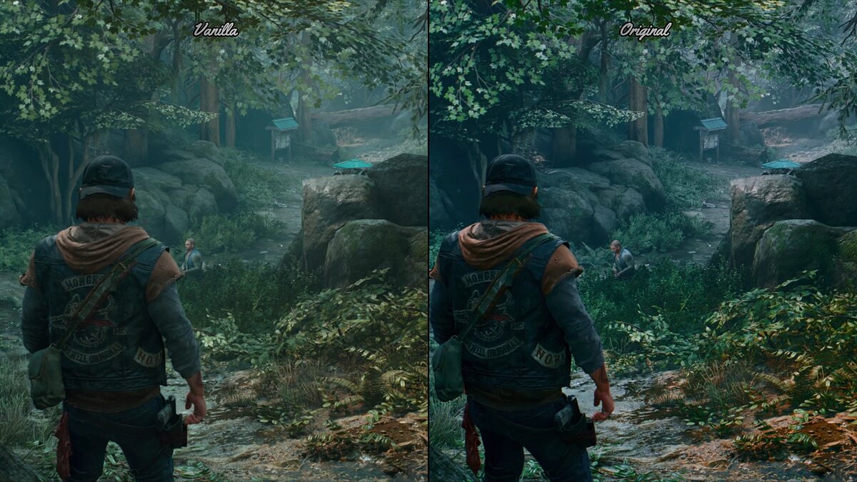 Days Gone — Improved graphics and color