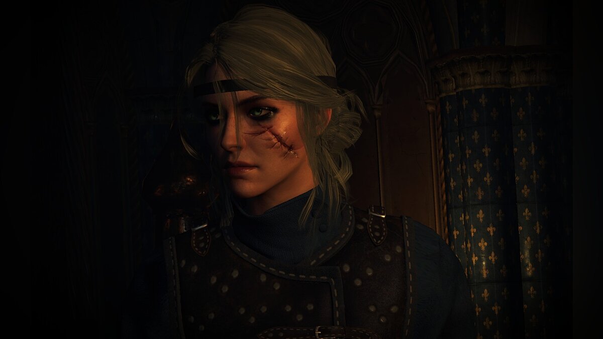 The Witcher 3: Wild Hunt - Complete Edition — Big scar for Ciri