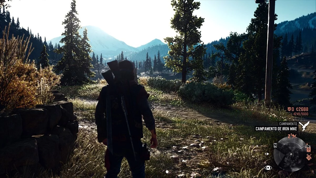 Days Gone — Реалістичні кольори