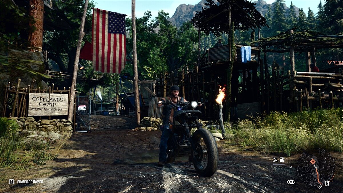 Days Gone — Realistic colors