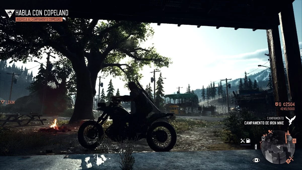 Days Gone — Реалістичні кольори