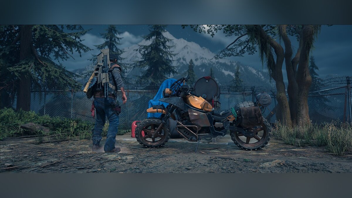 Days Gone — New game plus