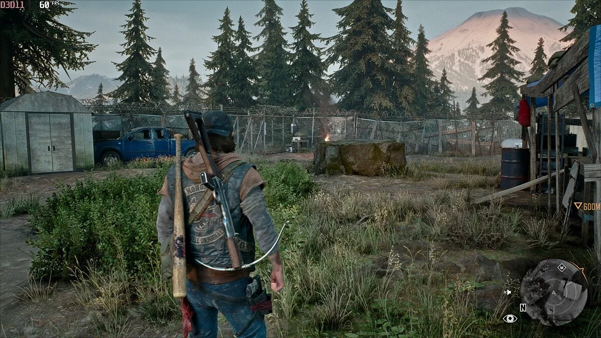 Days Gone — Реалистичная графика