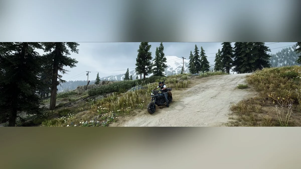 Days Gone — Поліпшені ефекти