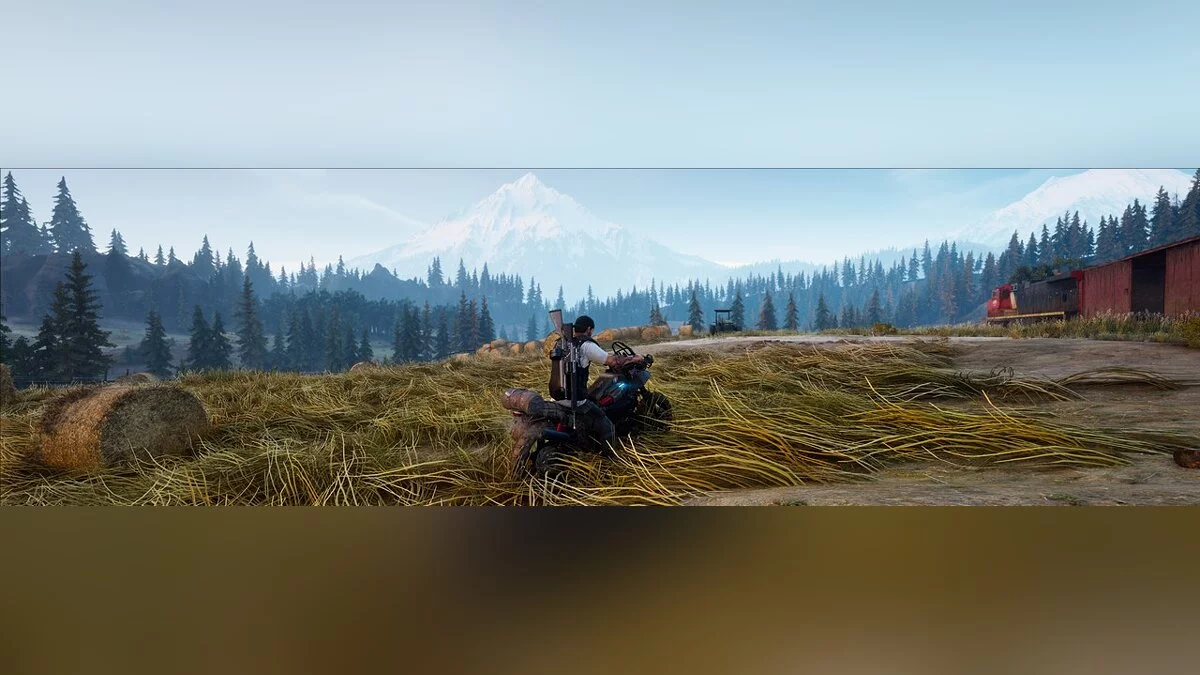 Days Gone — Поліпшені ефекти