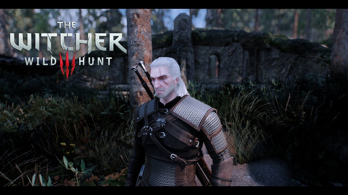 Elder Scrolls 5: Skyrim Special Edition — Geralt of Rivia