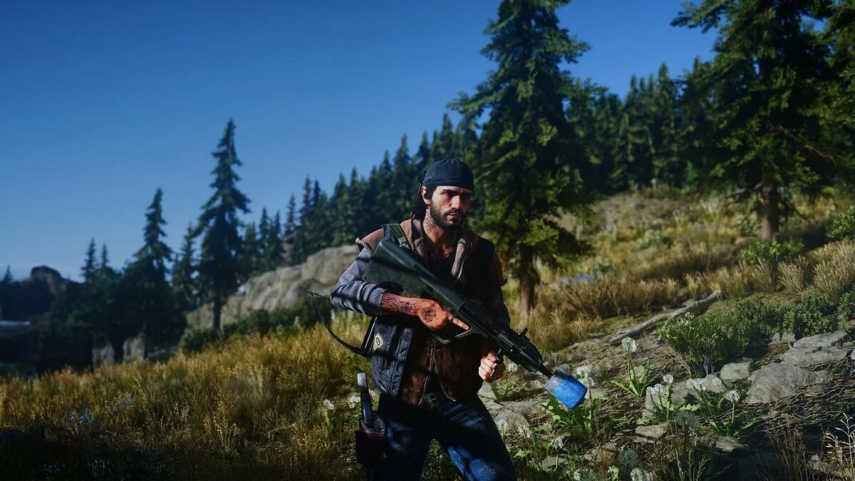 Days Gone — Best HDR and Color