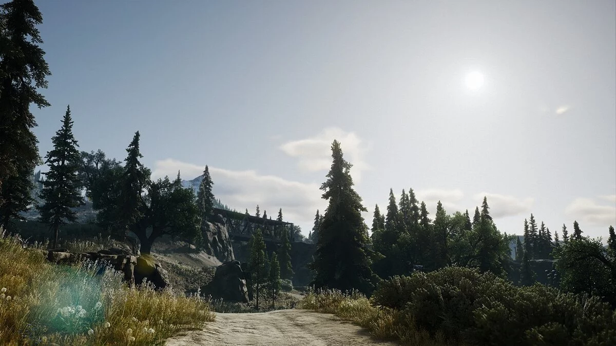 Days Gone — Кращий HDR та колір