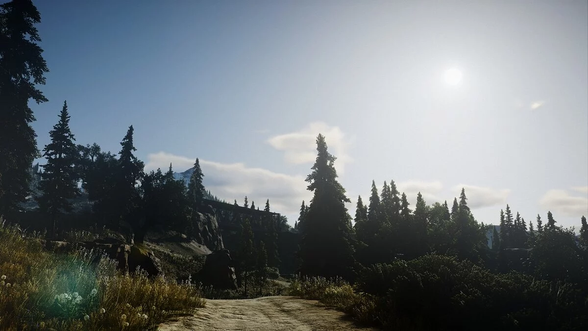 Days Gone — Кращий HDR та колір