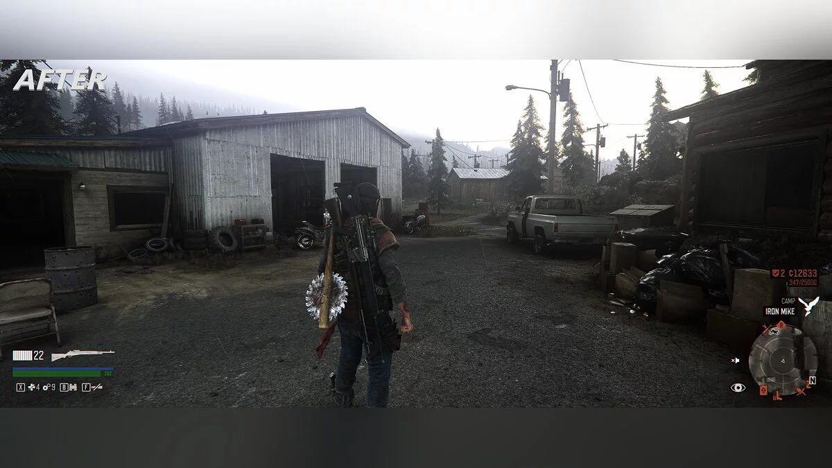 Days Gone — Реалістичне освітлення