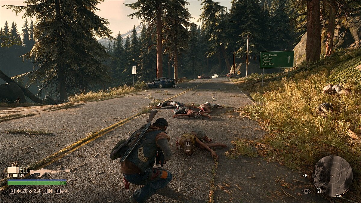 Days Gone — Loot from freaks