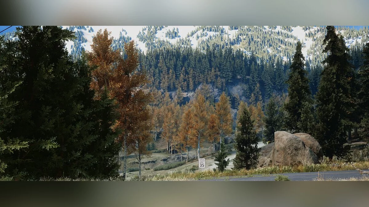 Days Gone — Реалістичні кольори