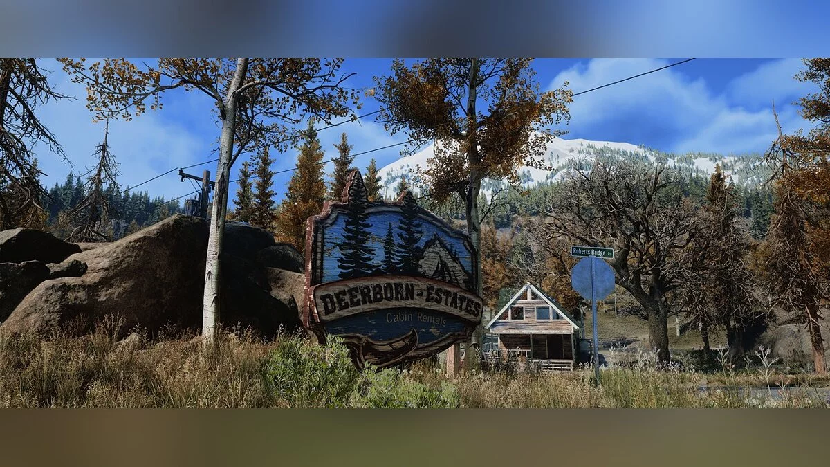 Days Gone — Реалістичні кольори