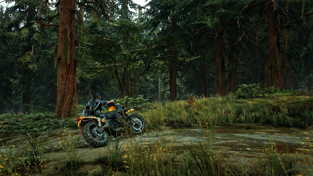 Days Gone — Улучшение графики