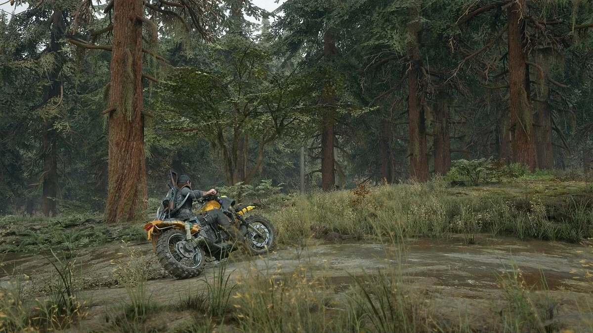 Days Gone — Улучшение графики