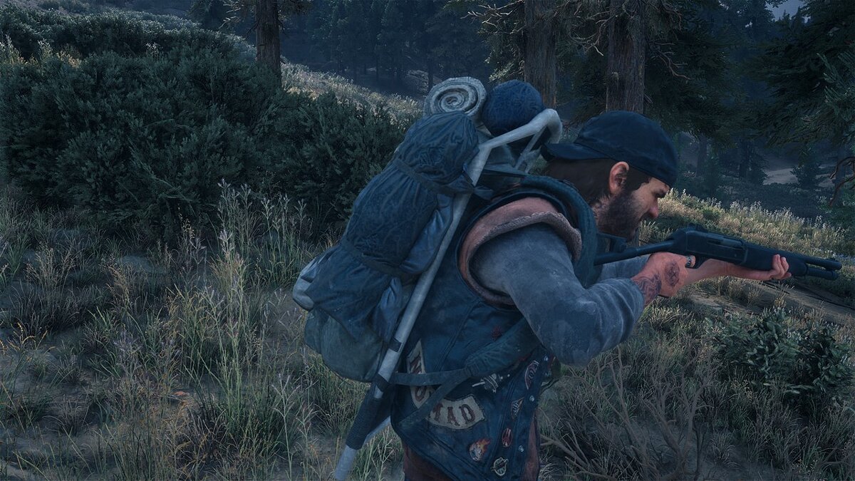 Days Gone — Large backpack