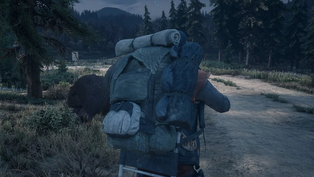 Days Gone — Великий рюкзак