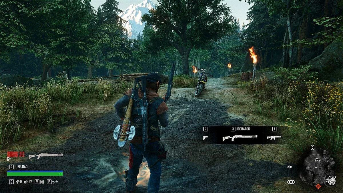 Days Gone — Дробовики у спеціальному слоті