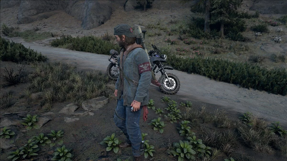 Days Gone — Варианты нарукавных повязок