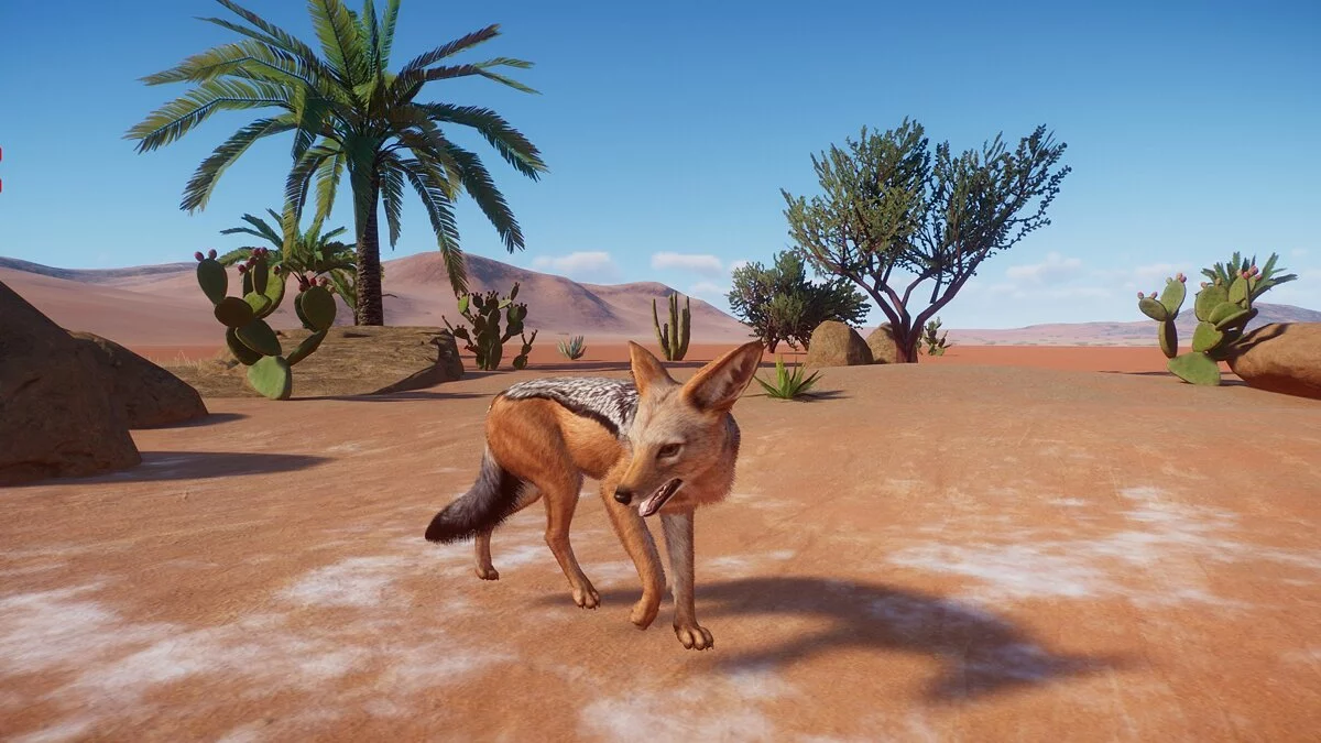 Planet Zoo — Black-backed jackal - a new species