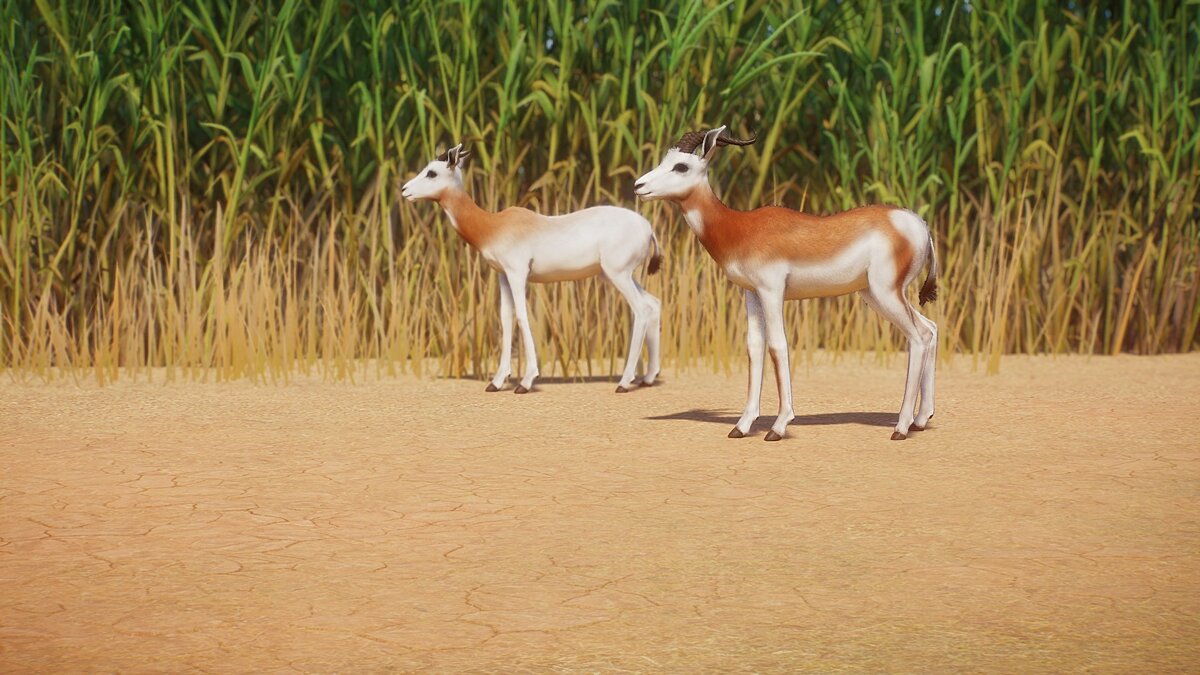 Planet Zoo — A new type of gazelle