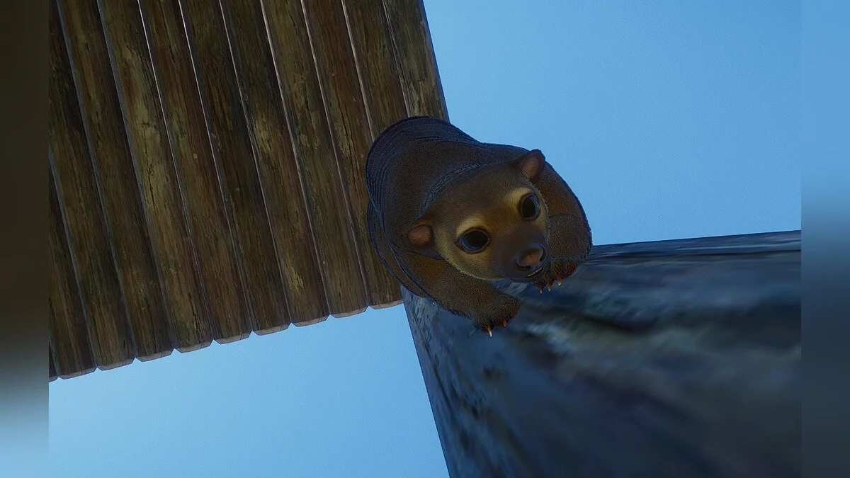 Planet Zoo — Кінкажу – новий вид