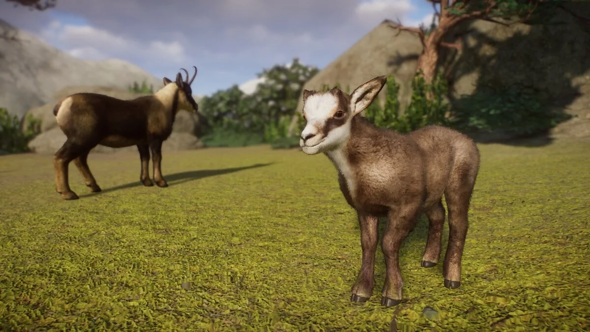 Planet Zoo — Піренейська сарна - нові види