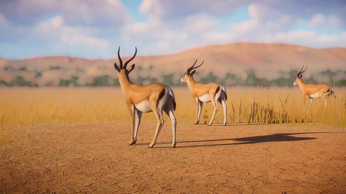 Planet Zoo — Grant's gazelle - a new species