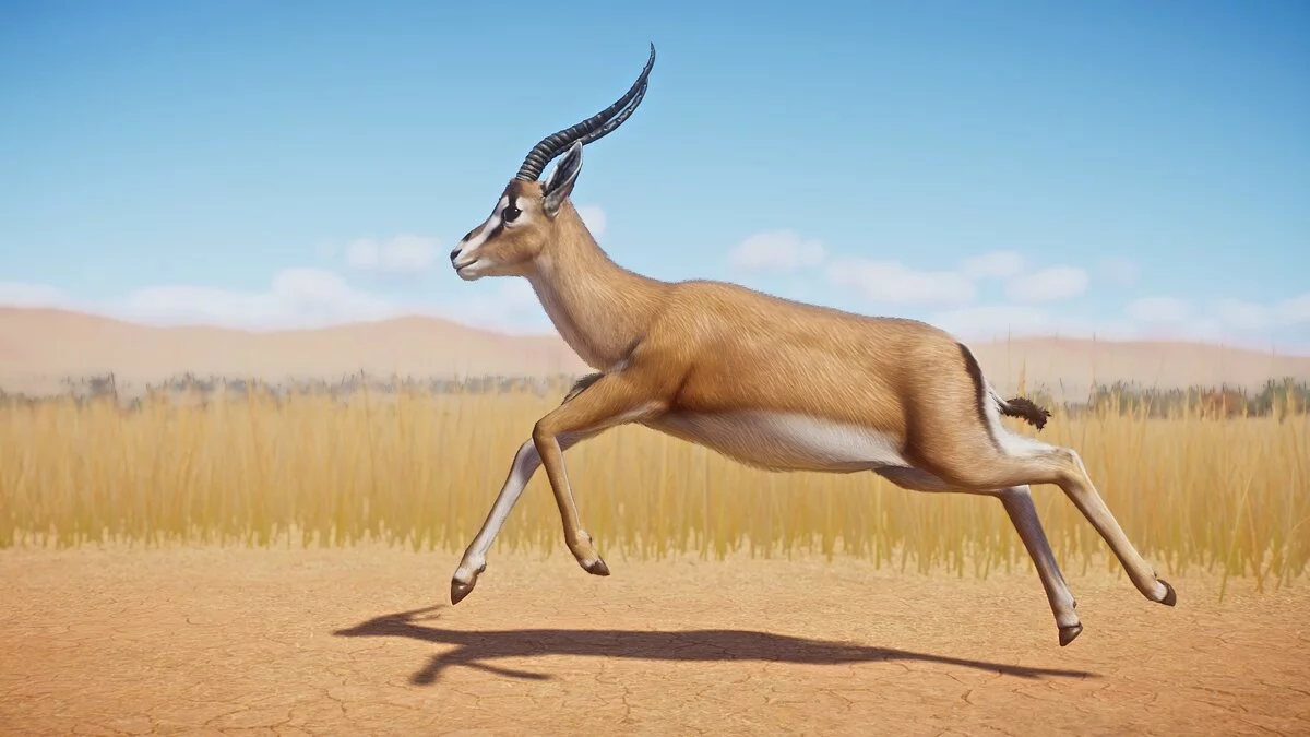 Planet Zoo — Газель Гранта – новий вигляд