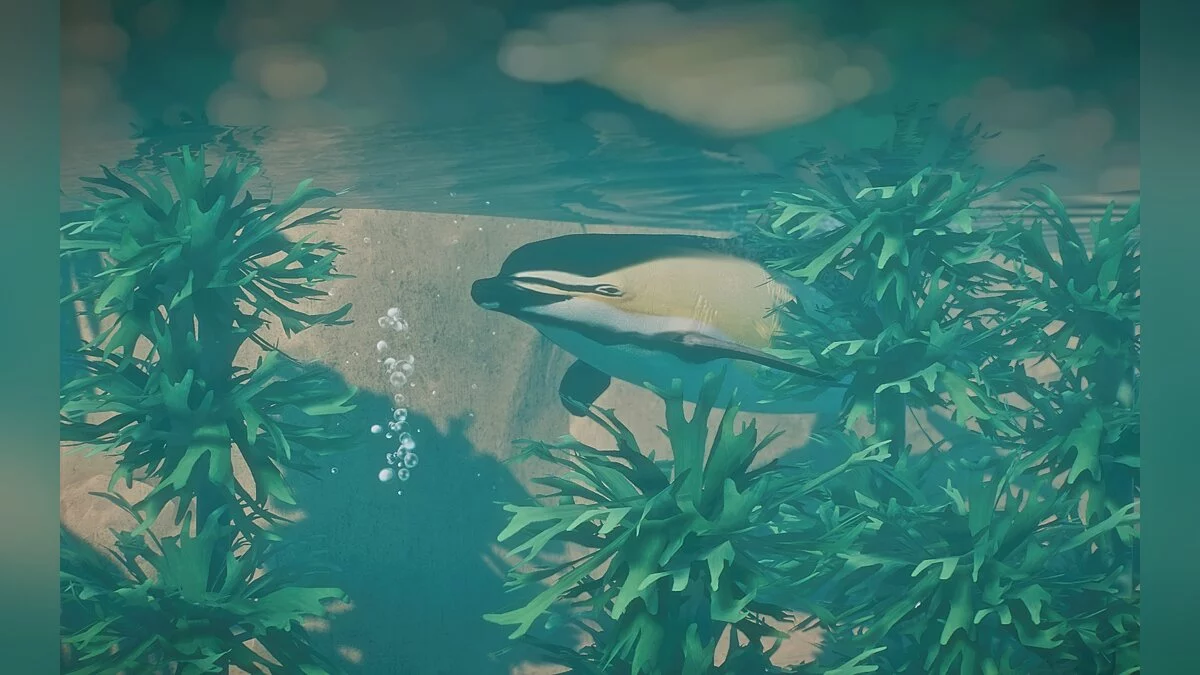 Planet Zoo — Delfín común de pico corto