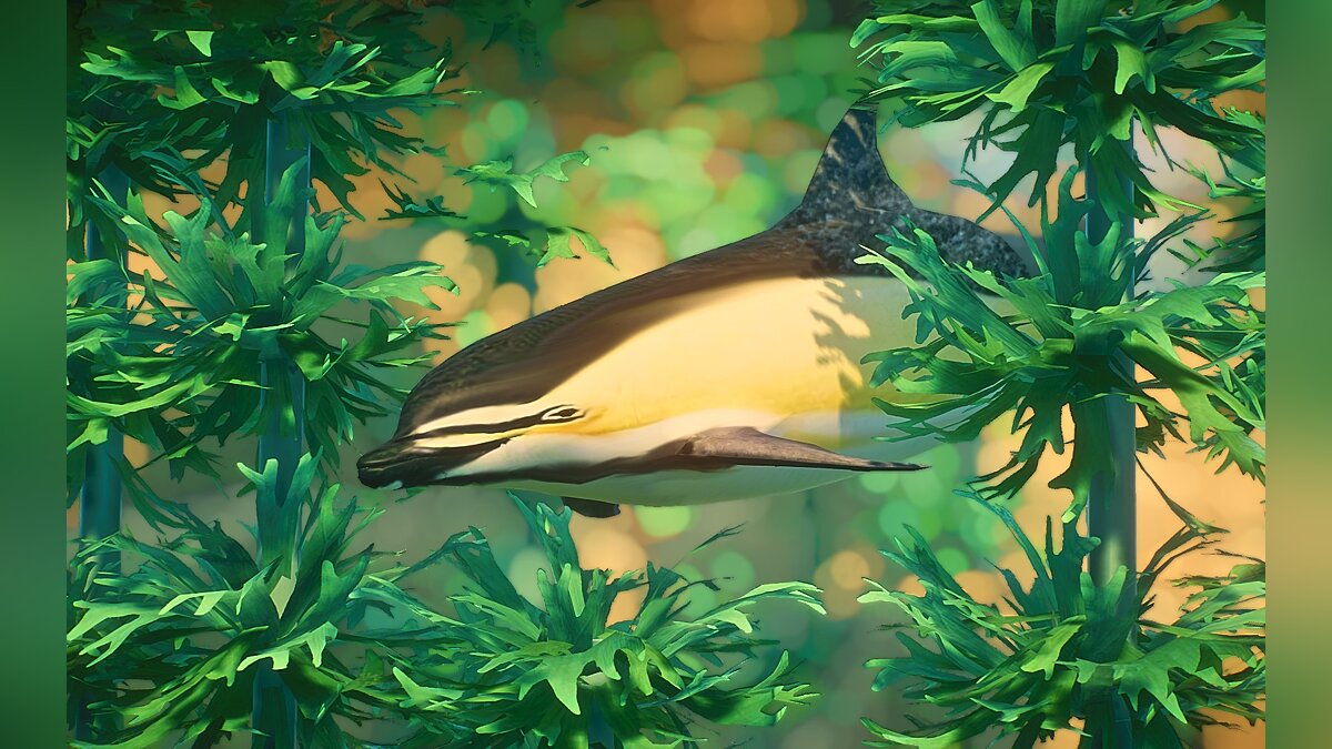 Planet Zoo — Short-beaked common dolphin