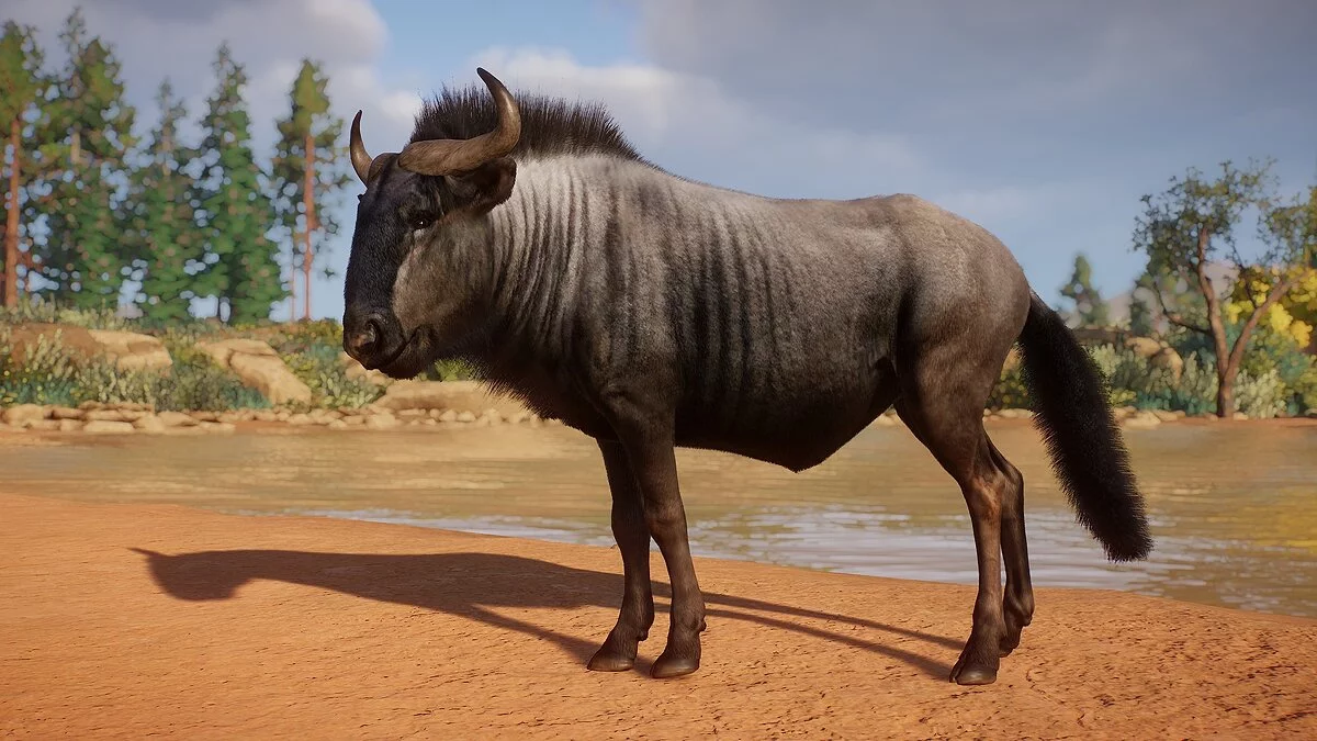 Planet Zoo — Blue wildebeest