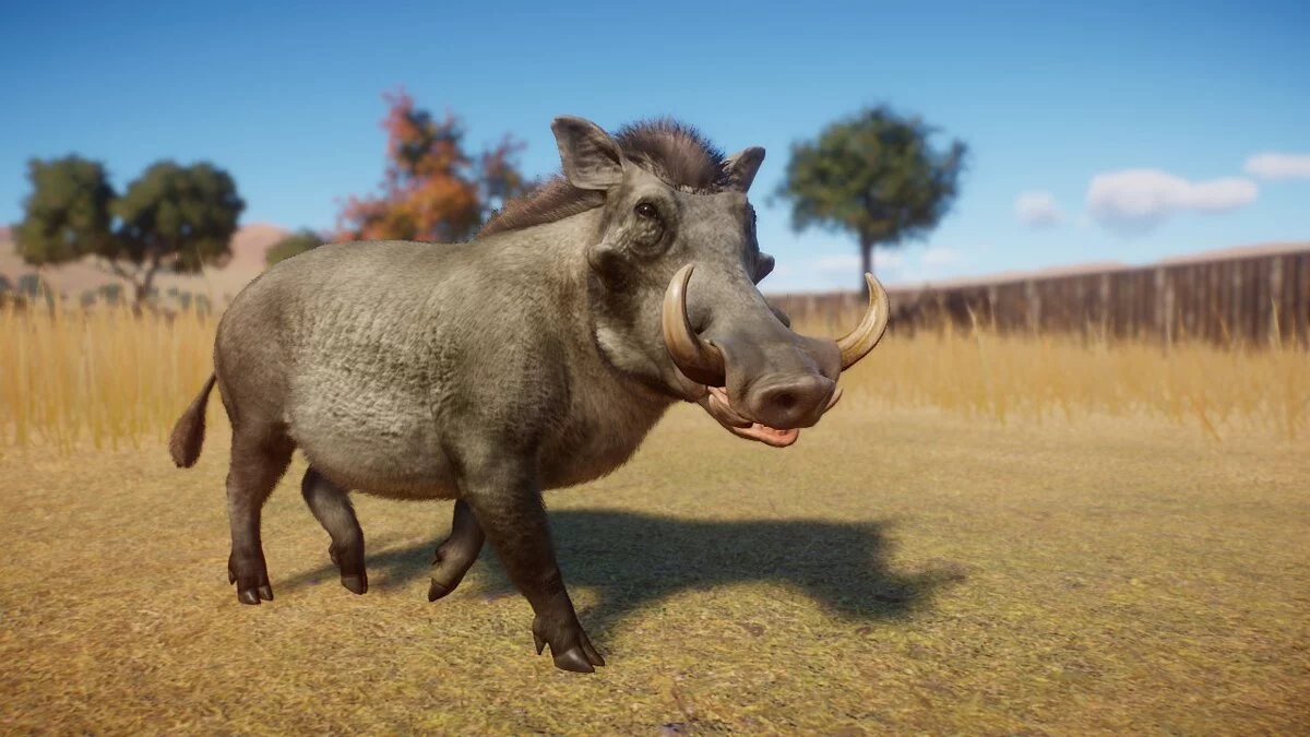 Planet Zoo — Brown warthog