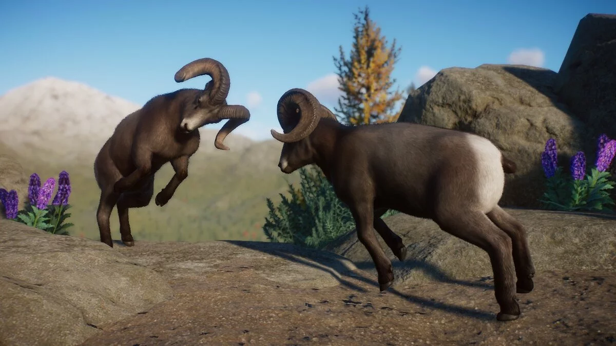 Planet Zoo — Improved Bighorn Sheep