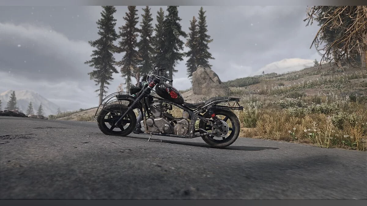 Days Gone — Biker motorcycle