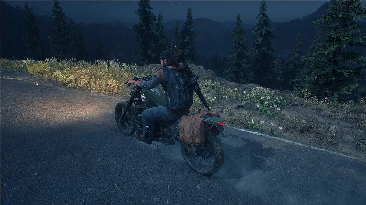 Days Gone — Двойные седельные сумки