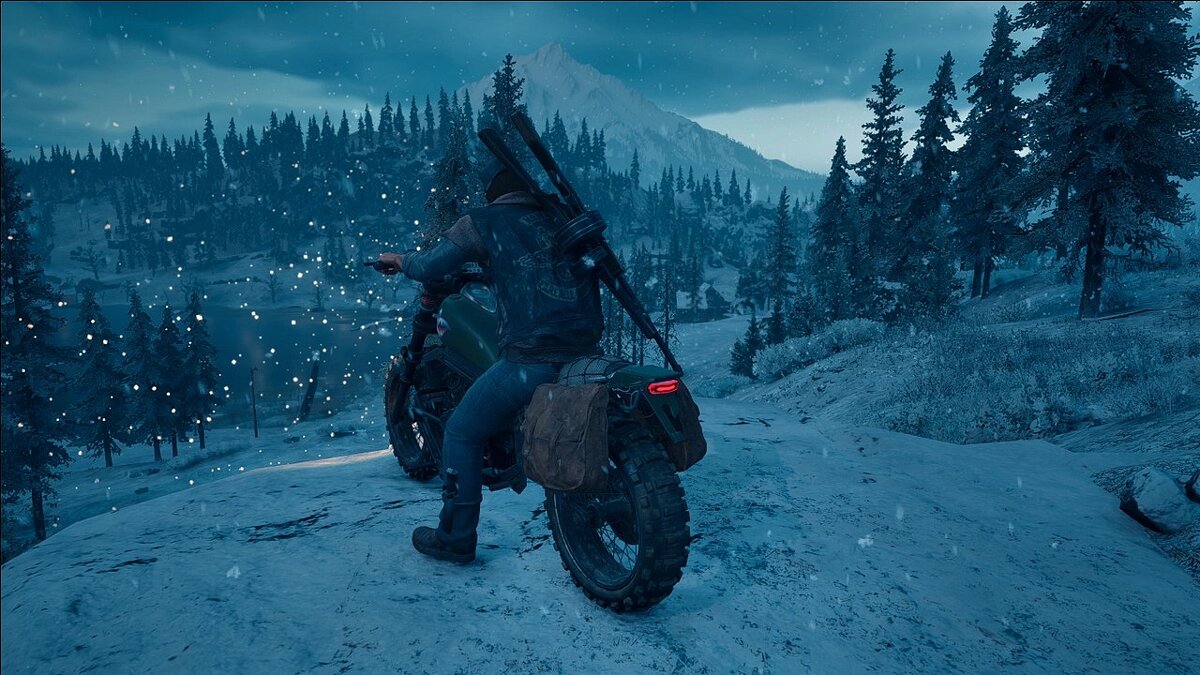 Days Gone — Double saddle bags