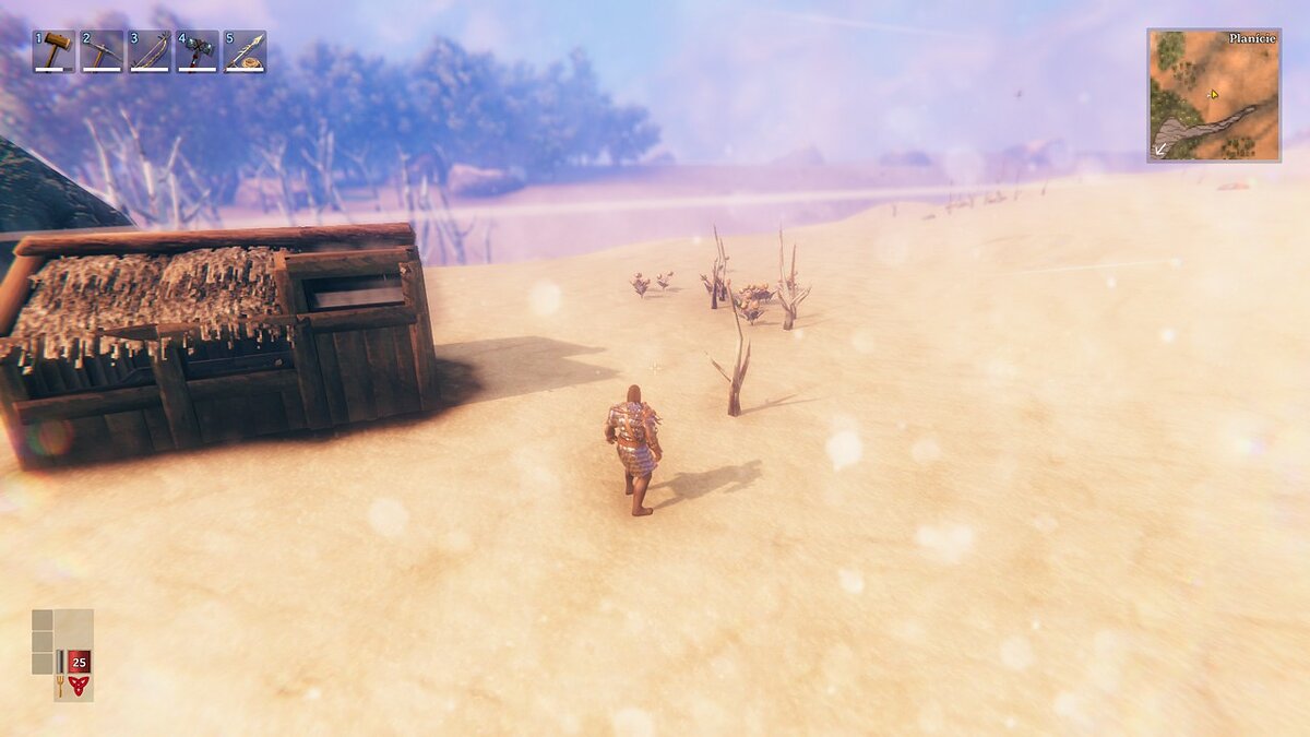 Valheim — Desert instead of plain