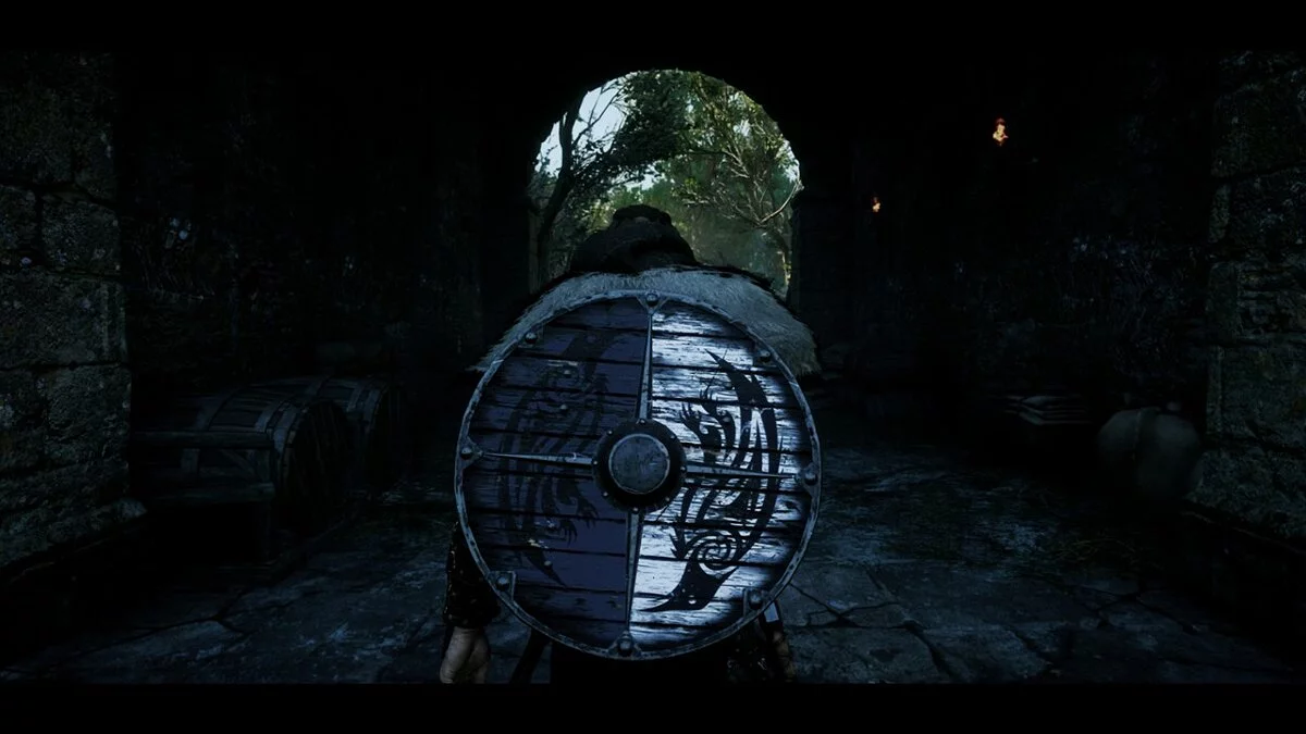 Assassin&#039;s Creed Valhalla — Добби решейд