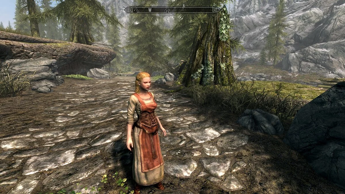 Elder Scrolls 5: Skyrim Special Edition — Translation of the Fertility Mode mod