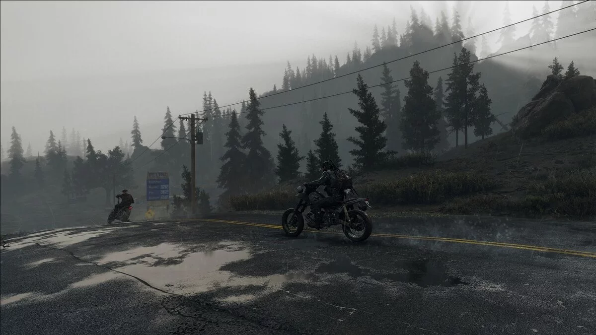 Days Gone — Решейд «Осталось умереть»