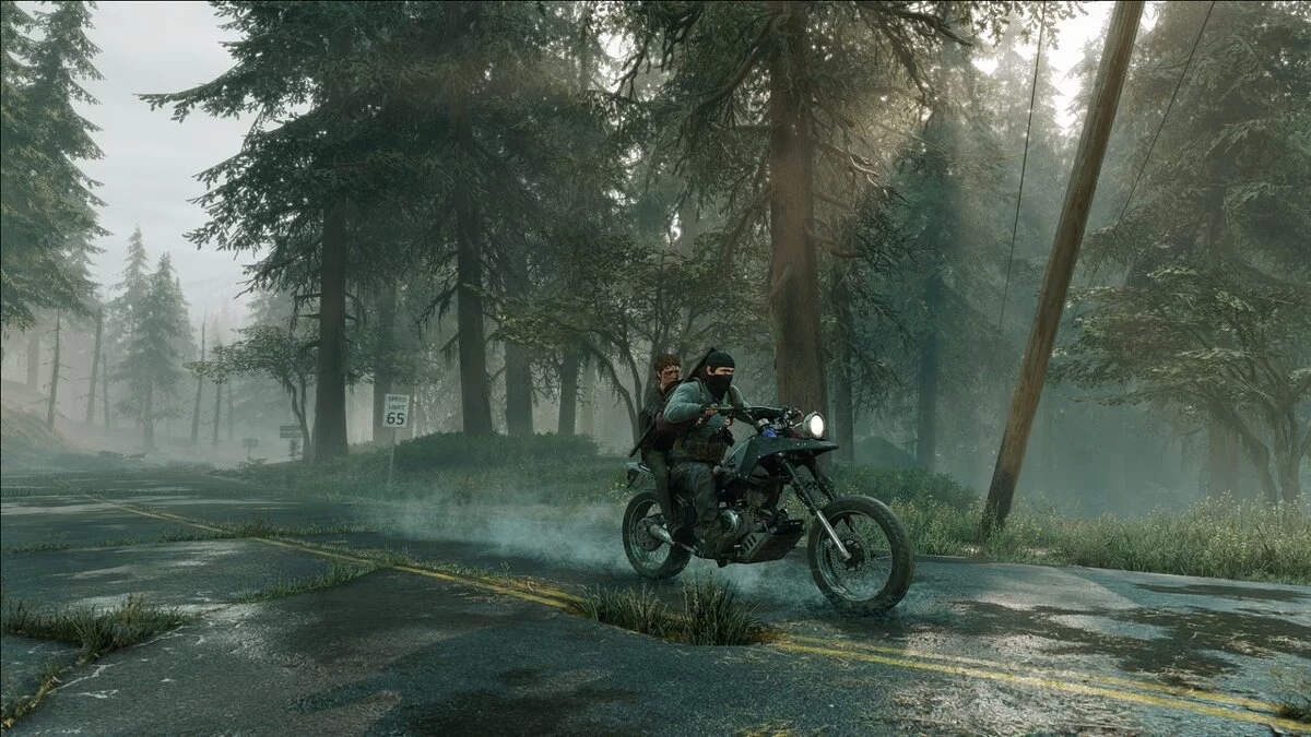 Days Gone — Решейд «Осталось умереть»