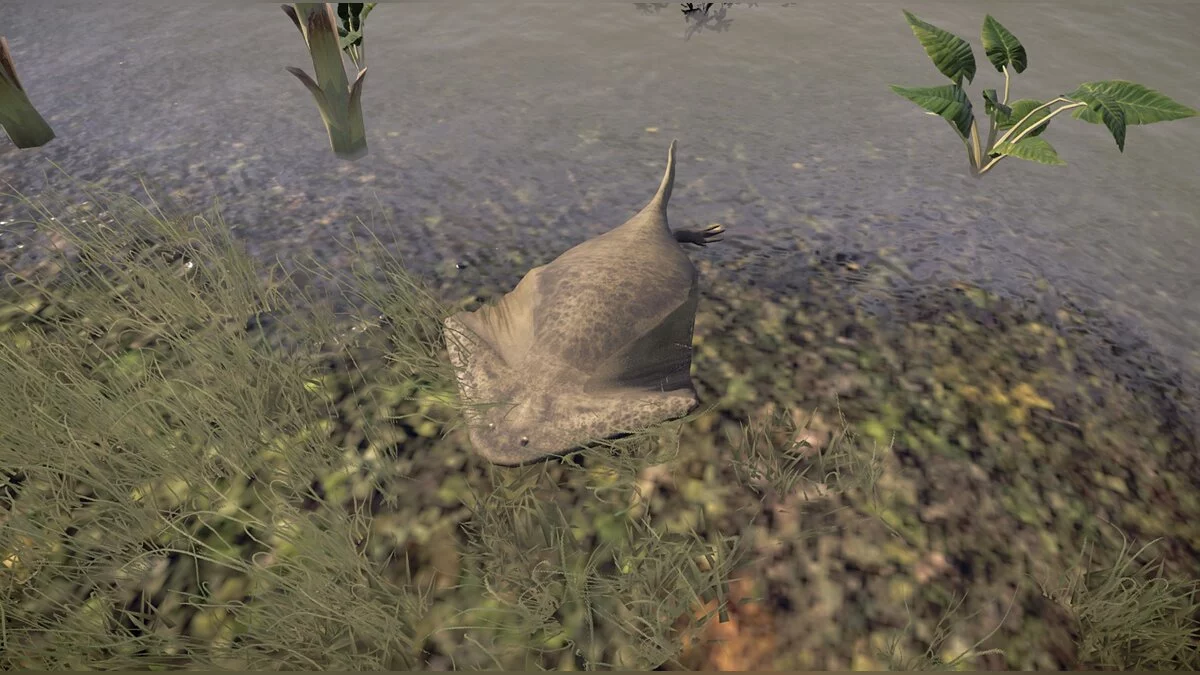 Jurassic World Evolution — Диплокаулус (новий вигляд)