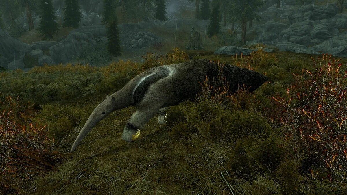 Elder Scrolls 5: Skyrim Special Edition — Giant anteaters